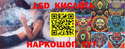 шишки Новокубанск