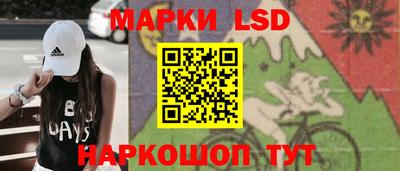 шишки Новокубанск