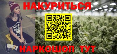 шишки Новокубанск