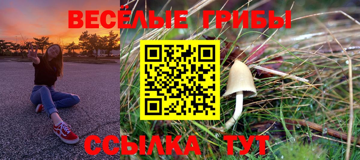 Галлюциногенные грибы Magic Shrooms Холмск